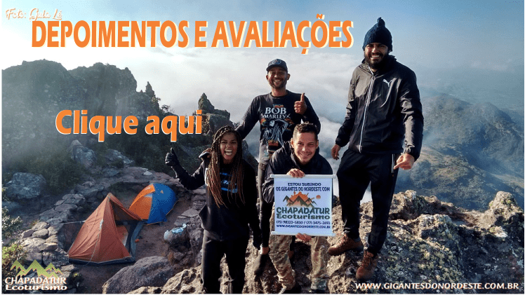 gigantes do nordeste reviews