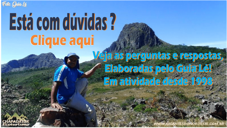 gigantes do nordeste como e