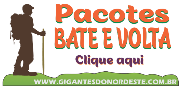 gigantes do nordeste bate e volta