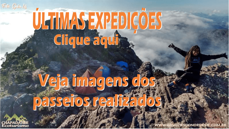 gigantes do nordeste passeios realizados